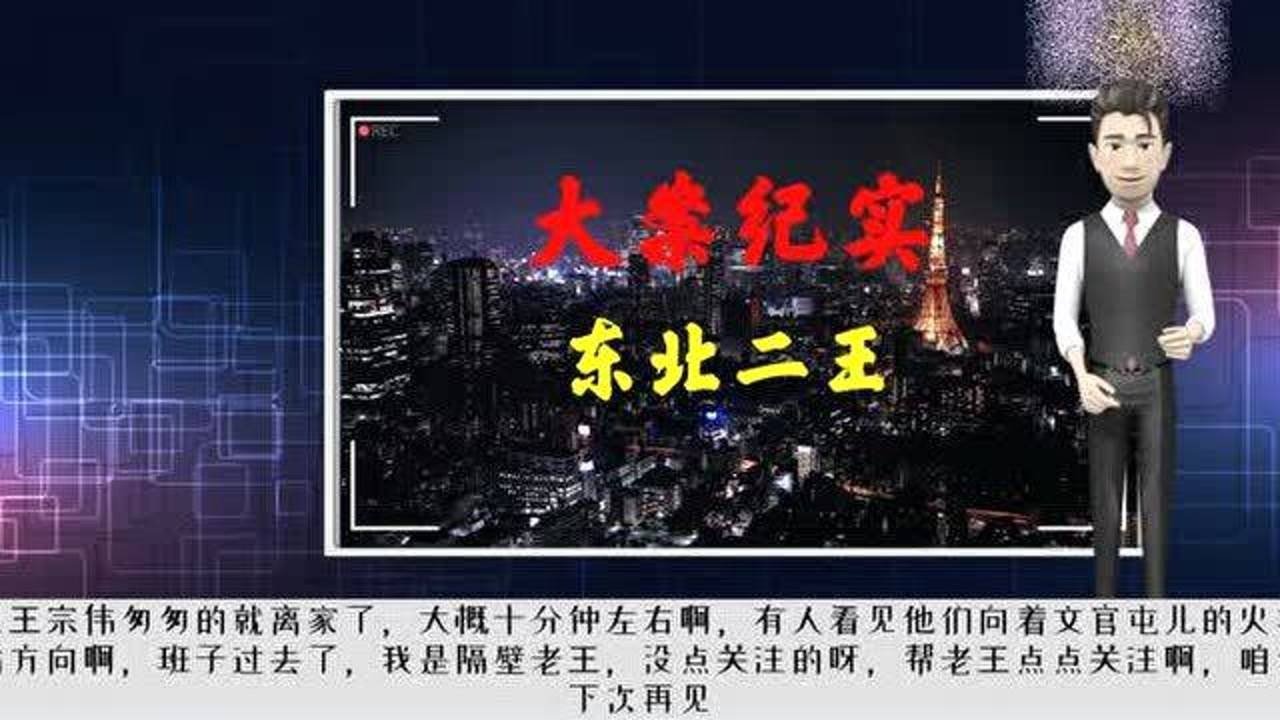 大案纪实《东北二王》第一集