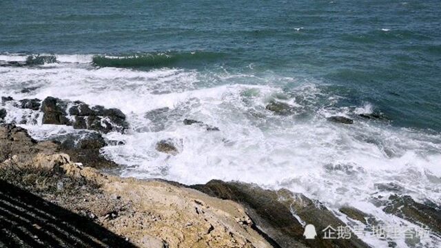 海街日记中国版,比镰仓更美更治愈的海滨小城和美丽海岸