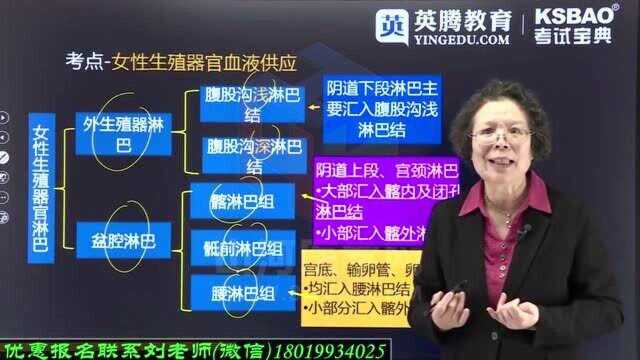 05妇产科护理学高级职称考试重点案例精讲课五|山河医学网