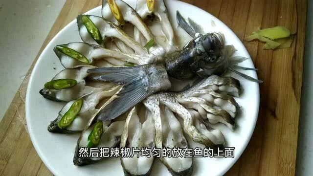 清蒸鳊鱼!