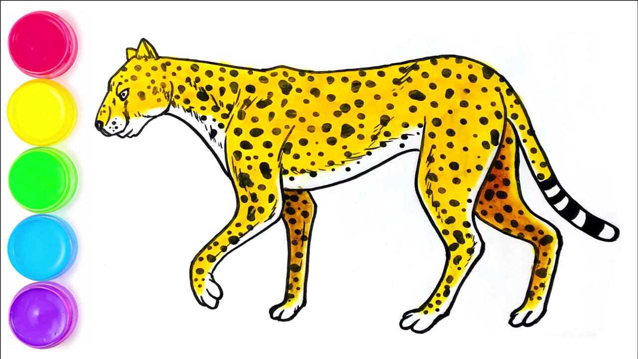 美洲豹怎么画霸气图片