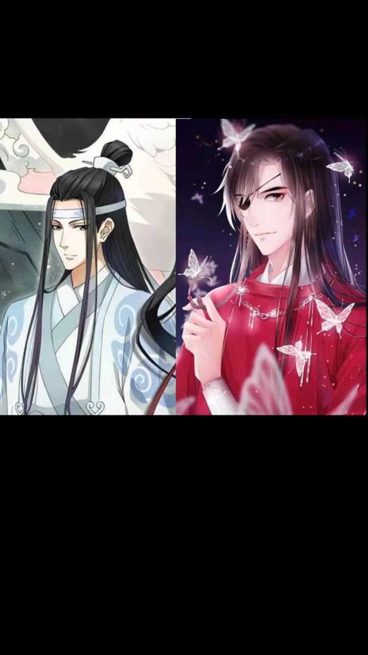 如果把蓝忘机和花城组合在一起会是什么帅样子