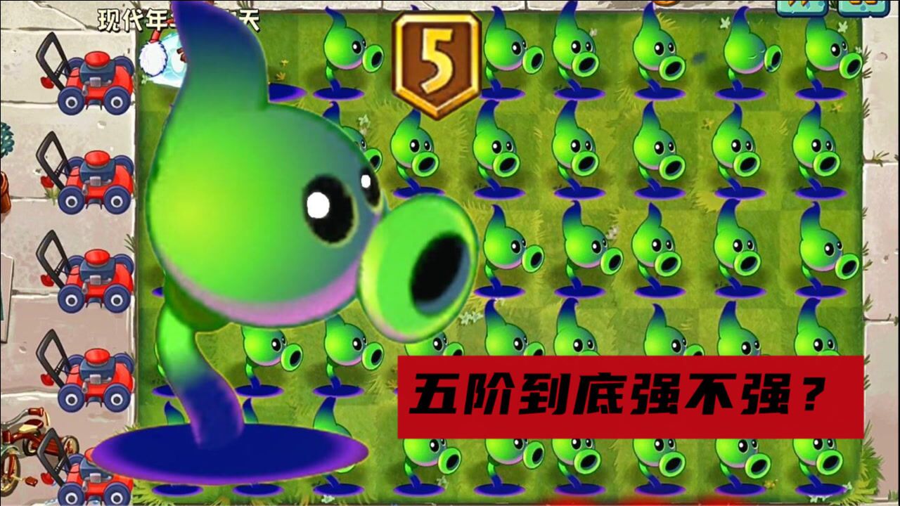 五阶暗影豌豆解析!大招真有这么厉害吗!