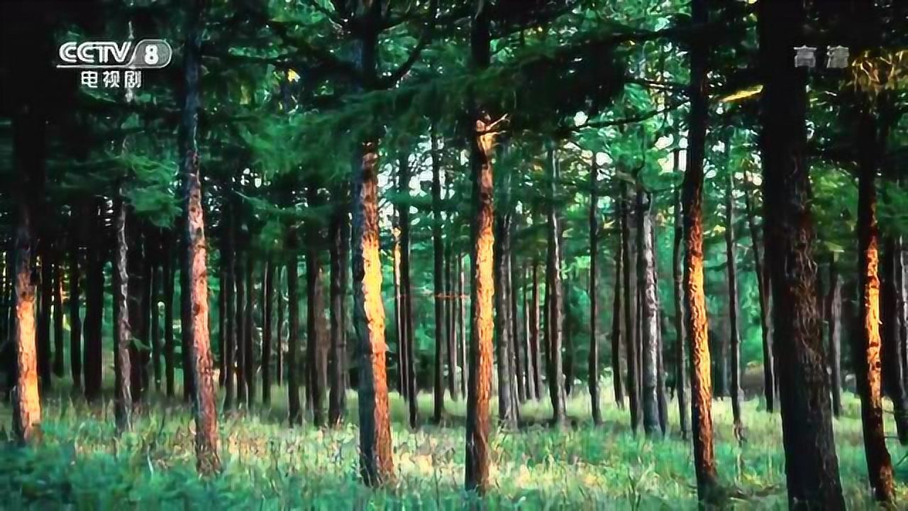 公益广告：绿水青山就是金山银山来源：央视网_高清