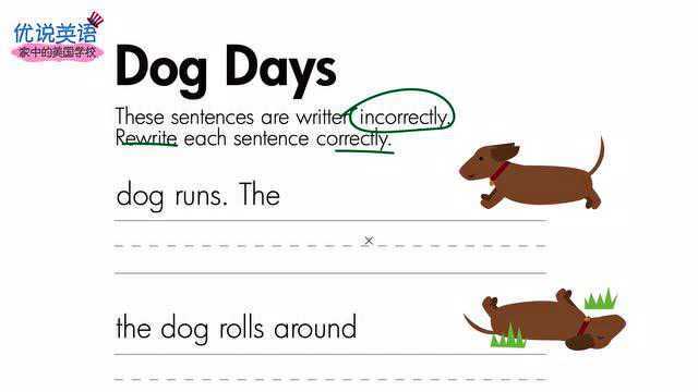 做美国小学生作业学英语,把可爱的小狗句子修改正确