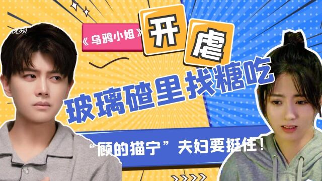 《乌鸦小姐》开虐:玻璃碴里找糖吃 顾的猫宁夫妇挺住#《乌鸦小姐与蜥蜴先生》短视频大赛#