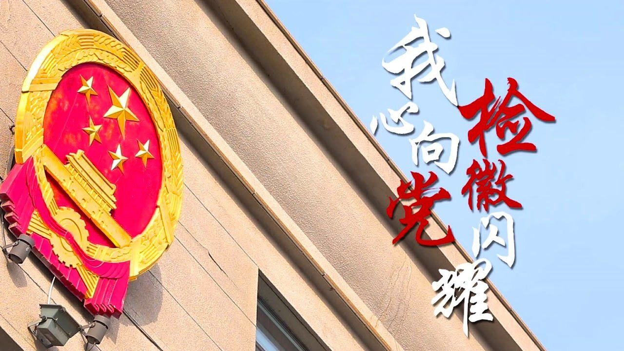 榜样的力量我心向党检徽闪耀