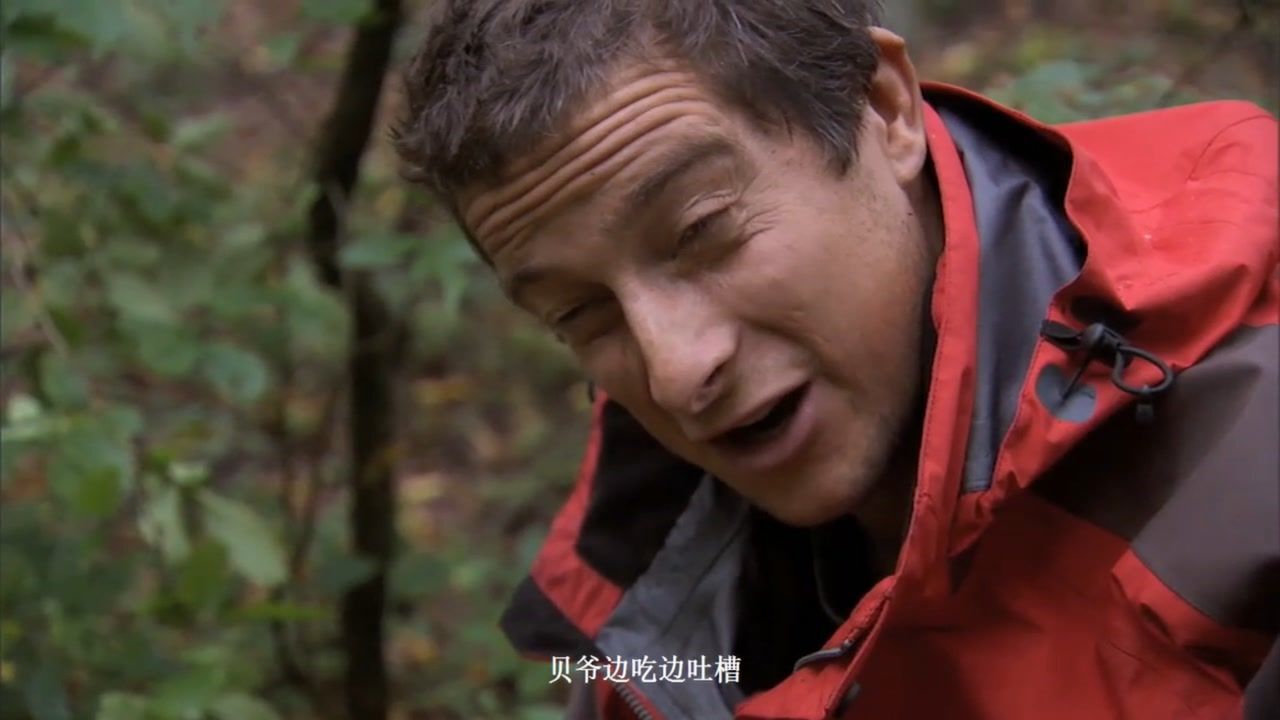 荒野求生:贝爷深入原始森林,结果和狗熊狭路相逢!