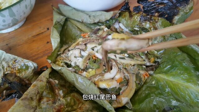 食遇版纳:山里小河野钓,做个包烧红尾巴鱼(下),第二天收获也不大,只好拿存货补