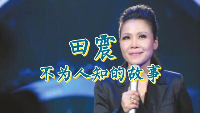 田震 她和张卫宁结婚十多年仍没有要孩子