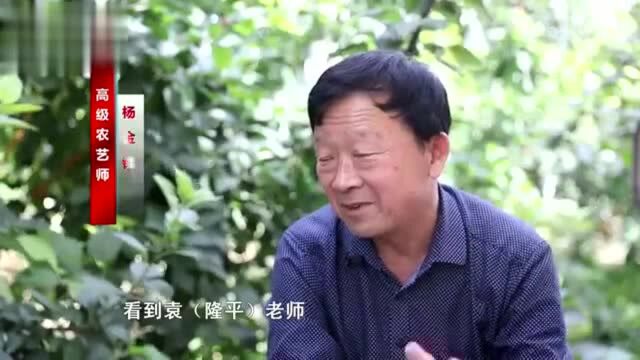 视频|“您是我们心中最亮的星!”巨野一名农业科技者眼中的袁隆平