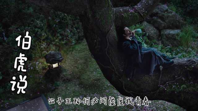 一首唯美的古风歌曲《伯虎说》,开口就让人沉醉其中,太好听了