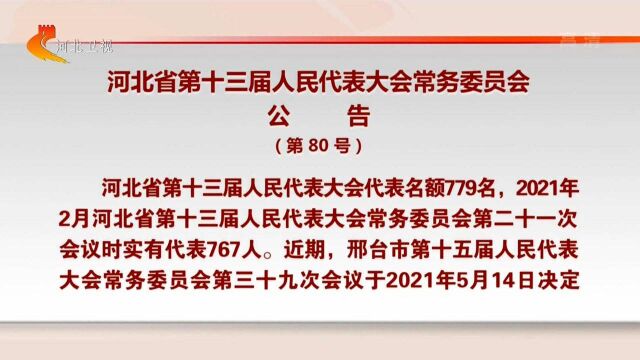 河北省第十三届人民代表大会常务委员会公告(第80号)