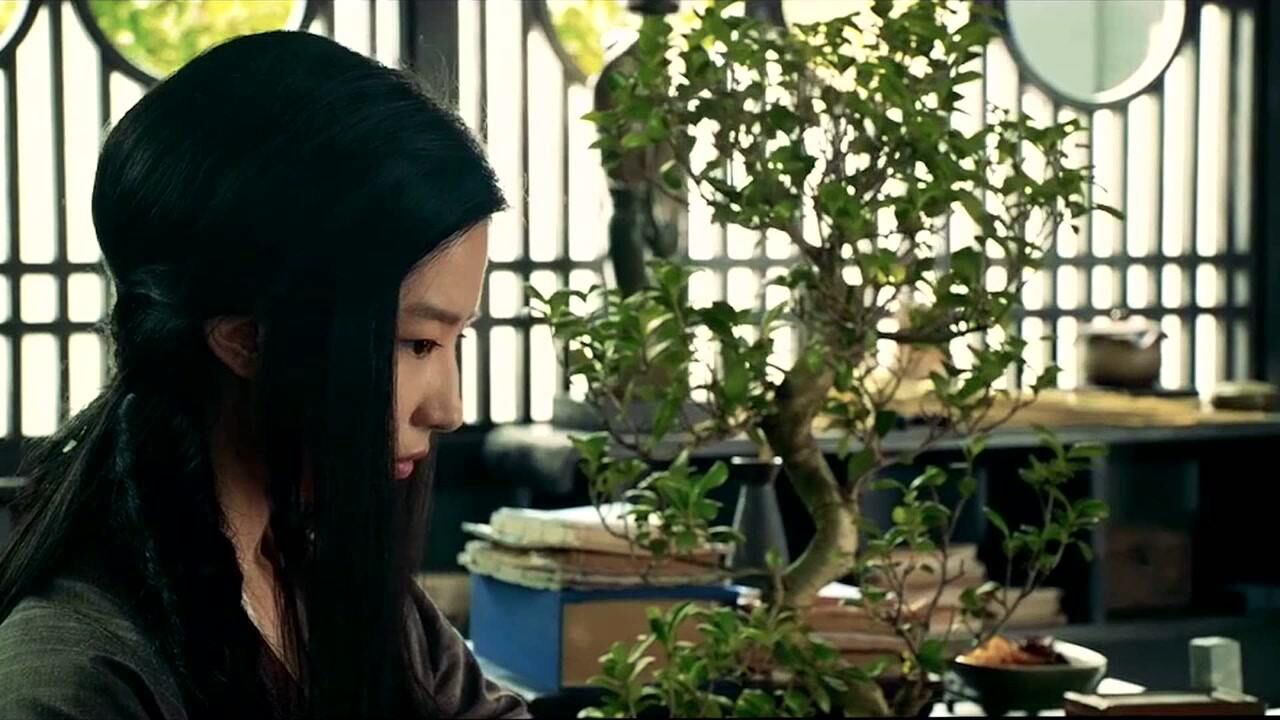 【女星混剪】电影《四大名捕》,女版“无情”刘亦菲个人混剪!_高清1080P在线观看平台_腾讯视频