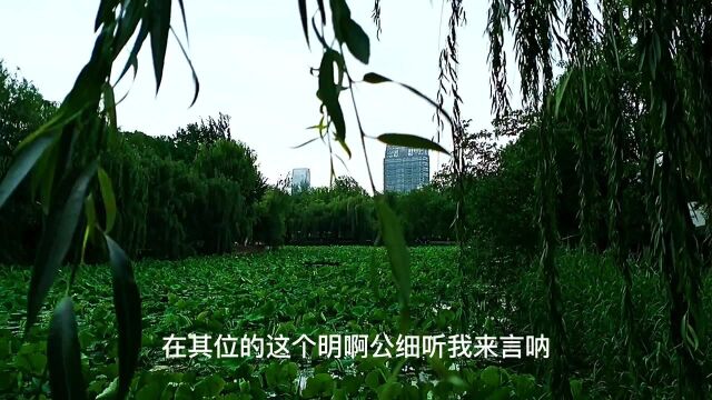 昆明翠湖荷叶