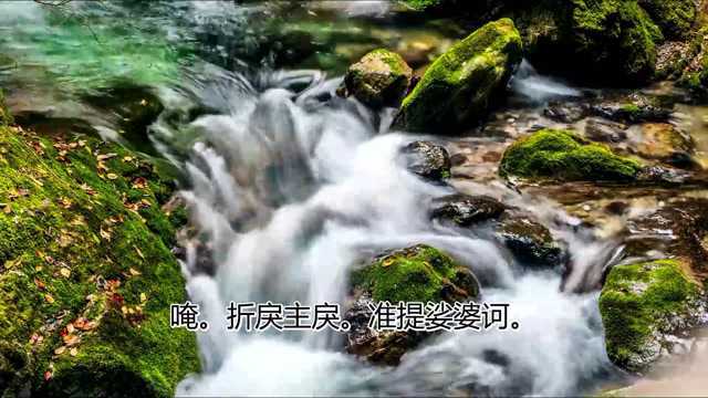 经典歌曲《准提心咒》