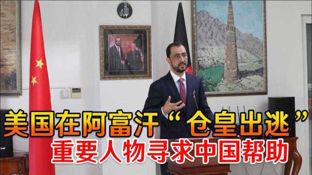 美国在阿富汗“仓皇出逃”,重要人物寻求中国帮助,王毅许下承诺