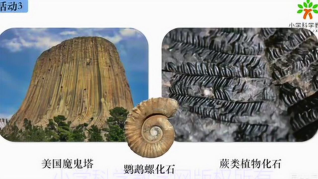 高清1080P在线观看平台_腾讯视频