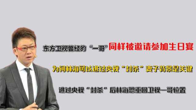 同被邀请参加生日宴,林海为何能够逃过一劫?妻子身份背景是关键