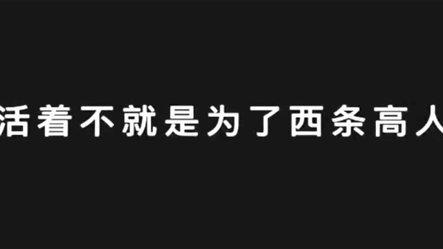 我爱西条高人!羽毛一飘高人断腰