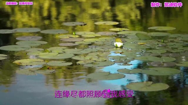 《如果你快乐》欣赏,音乐mv歌词制作软件