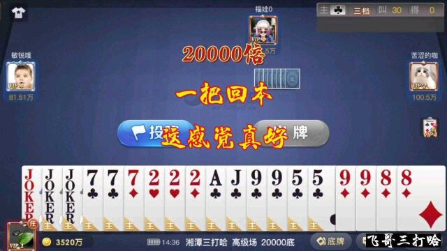 三打哈:20000倍!一把就回本,这样的感觉真好!