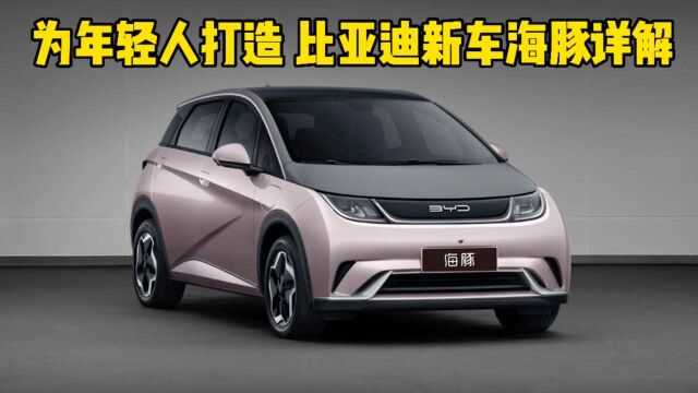 Cars01车闻丨专为年轻人打造 比亚迪新车“海豚”详解