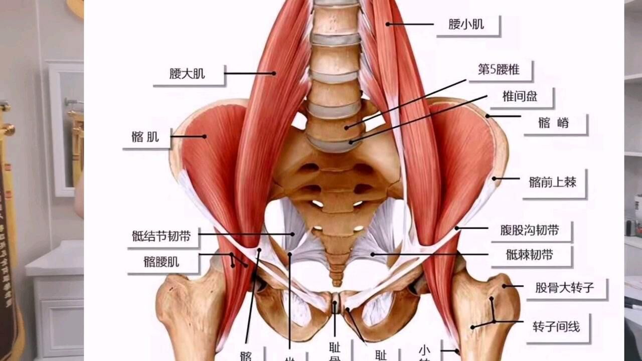 急性腰扭伤,松解腰大肌快速祛痛的第一种方法!形象解说,干货!