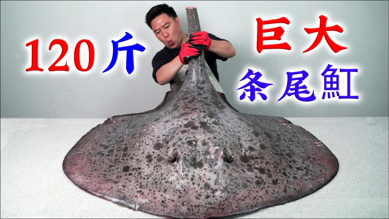 这辈子见过的最大的鳐鱼,然而一斤只要4块钱,鱼肝却是顶级美味