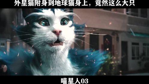 喵星人03----外星猫附身到地球猫身上，竟然这么大只