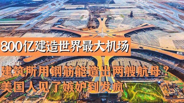 中国800亿建造大兴机场,堪称世界七大奇迹之首,灵感来自外国人?