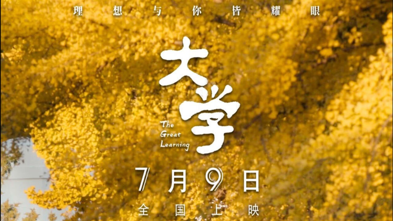 觉醒年代的grandfinale说的就是大学这部纪录片