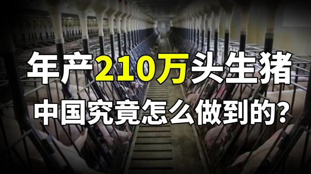 “猪老大”美国被反超!中国建全球第一养猪场,年产量210万生猪