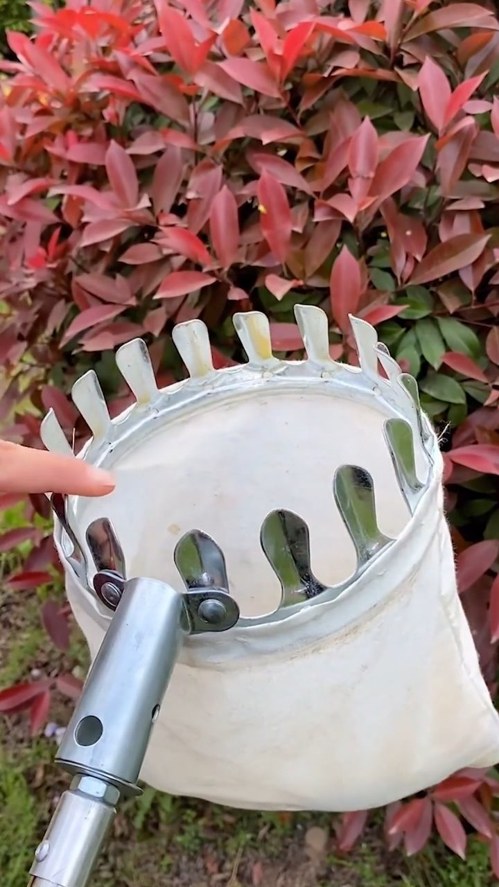 用上这个摘果神器,方便又安全!