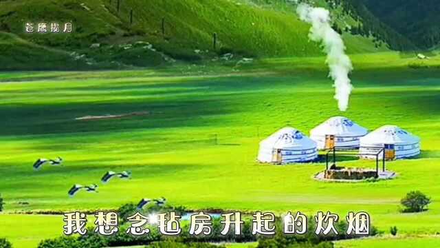 音画欣赏《我的草原》