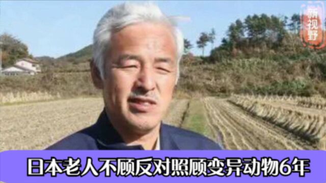 日本老人不顾反对,到福岛核辐射区照顾变异动物六年,他最后如何