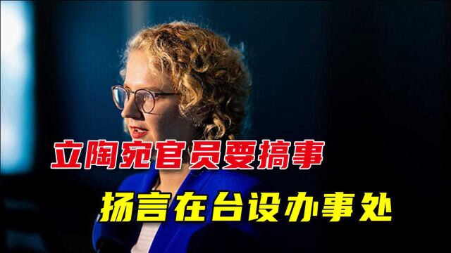 立陶宛官员挑衅中国大陆,扬言在台湾设“办事处”:不怕被制裁