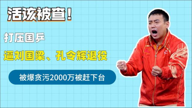 恶意打压国乒逼刘国梁退役,贪污两千万被赶下台,真是活该被查!