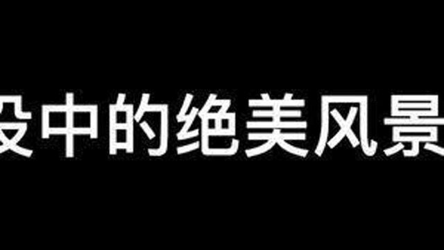 野生的风景#熊出没纳雅 #熊出没