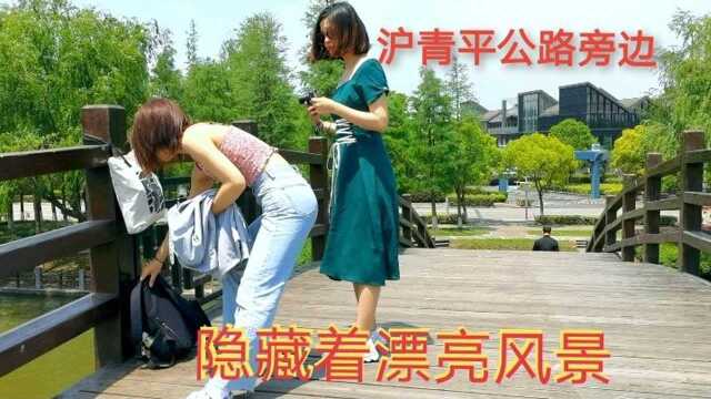 在上海沪青平公路上,发现一处漂亮的风景,很多人都不知道