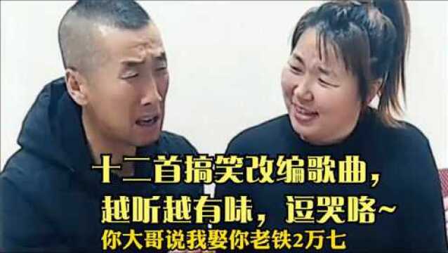 十二首搞笑改编歌曲, 越听越有味,逗哭咯~