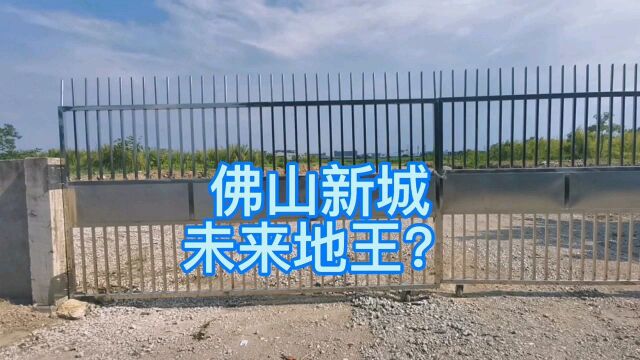 佛山新城下月有块地铁站附近的地要拍卖,有可能成为佛山新城地王