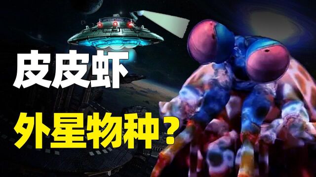 4亿年不进化的皮皮虾,全身黑科技,真的是“外星物种”?