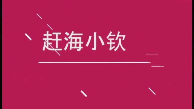 小钦带西安粉丝赶海,说第一次到海边来,原来野生牛角贝长这样?