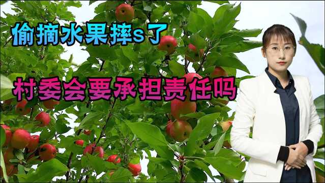 偷摘水果摔下致身亡,村委会要承担责任吗?听律师如何以案说法!