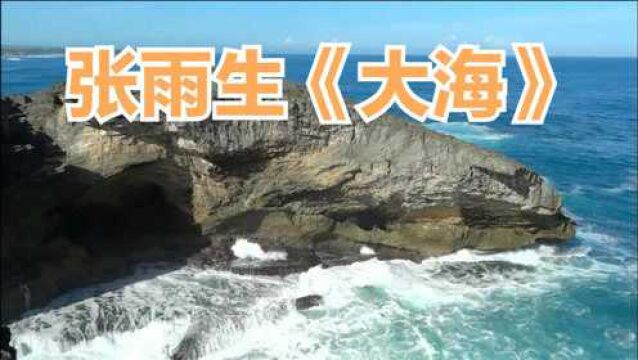 这才是《大海》真正原唱,张雨生的歌声唱到了心坎里,经典永恒!