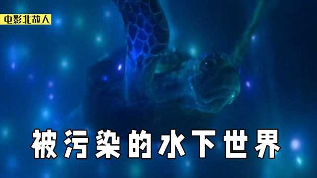 未来水下都被人类污染,生物都与机械塑料融为一体,小鱼都在发光