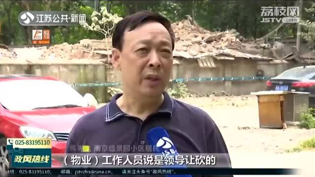 南京盛景园小区物业建车棚未经审批砍树毁绿