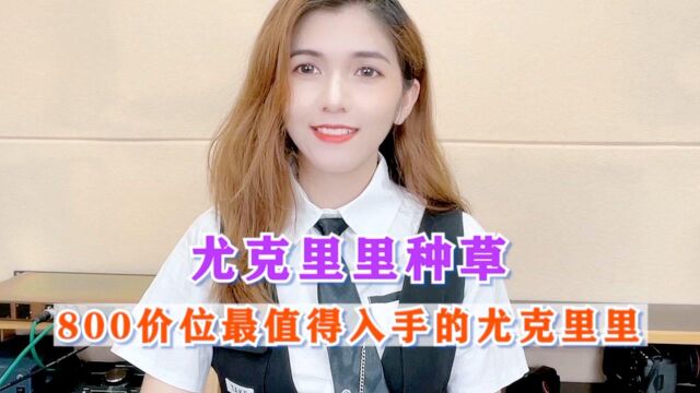 800价位超值的入手的一步到位尤克里里|尤克里里推荐