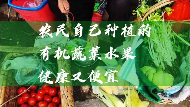 23.农民自己种的蔬菜水果,有机食品,健康又便宜:梨2块钱一公斤